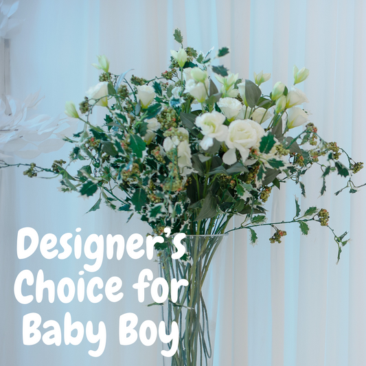 Designer's Choice - Baby Boy